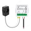 Tuya Wifi Electric Consumption Meter 1CH/2CH Power Meter Energy Monitoring Smart Home DIY Wattmeter 80A AC110V/240V