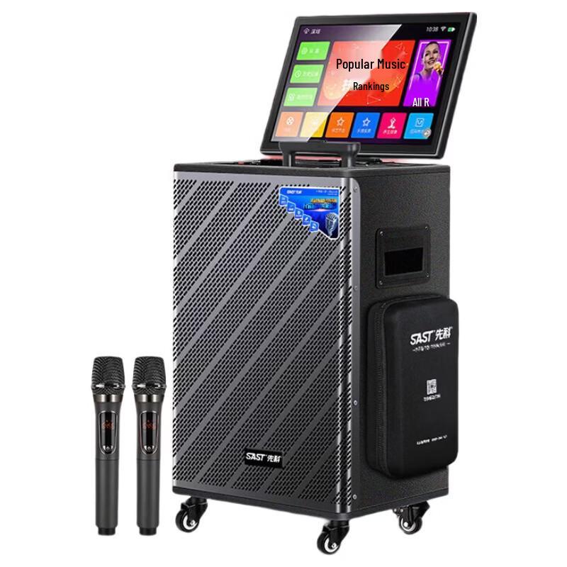 

All-in-One Portable Karaoke System CN plug (adapter included)