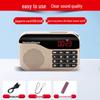 Newman Portable Multi-Function Radio Player