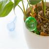 High Quality Large Imitation Glass Ball Automatic Watering Device