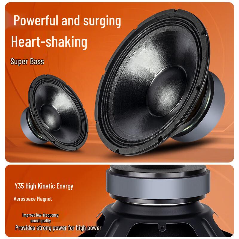 Sansui KS312 12-inch KTV Speaker