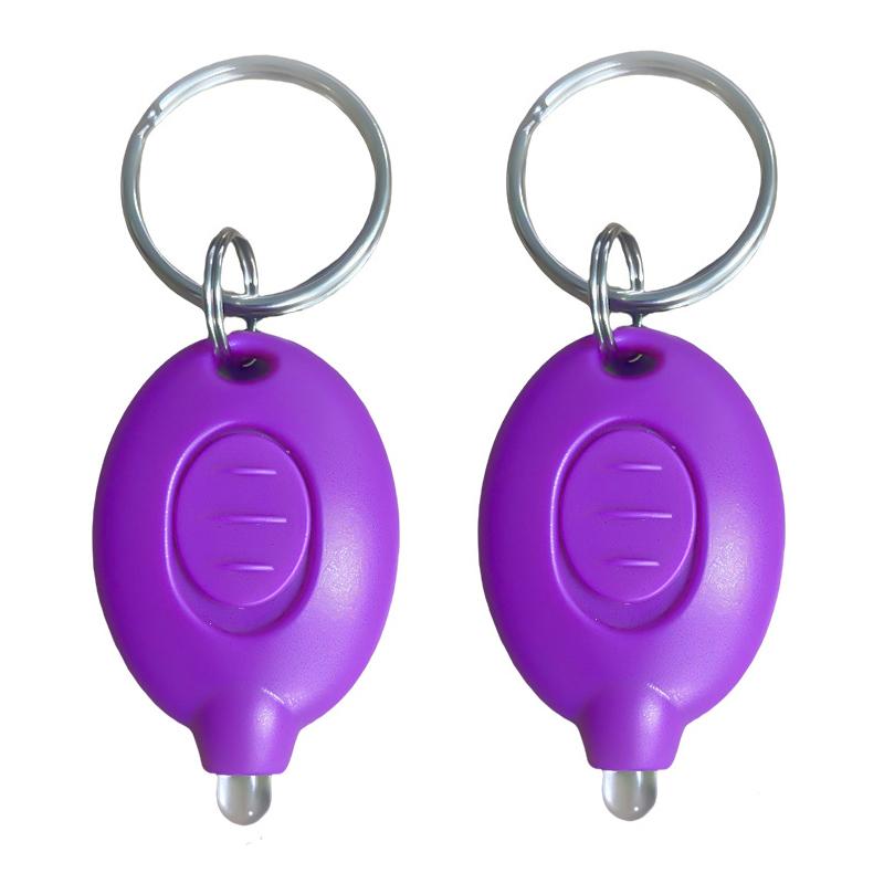 2PCS Mini Keychain LED Flashlight UV Torch Keyring Lamp Button Battery Lanterns White Light Children's Outdoor Light Torch
