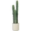 Artificial Plant Cactus Plants Large 95 Cm with Pot Like Real for Home, Office, Green