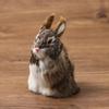 Mini Desktop Furnishings Lifelike Animal Rabbit Model Easter Rabbits Plush Toys Simulation