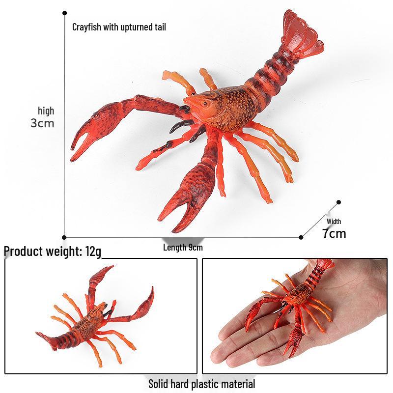 Children's Aquarium Shrimp and Lobster Model Set