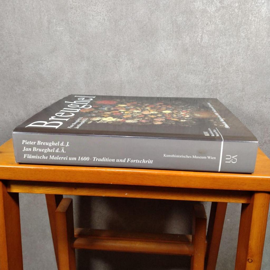 [USED] Pieter Breughel Books German Edition Art Arts