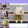 Trendy Spring Outfit Set For Boys Featuring Soft Cotton Fabric In Stylish Yellow And Purple For Ages 3 To 8 Years