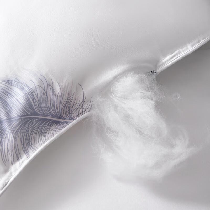 Tangna Cloud Soft Feather Silk Quilt