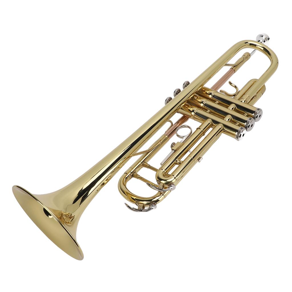 Bb Standard Trumpet Kit Double Bar Support Trumpet for Beginner Students Brass Wind Instrument and Cleaning Set