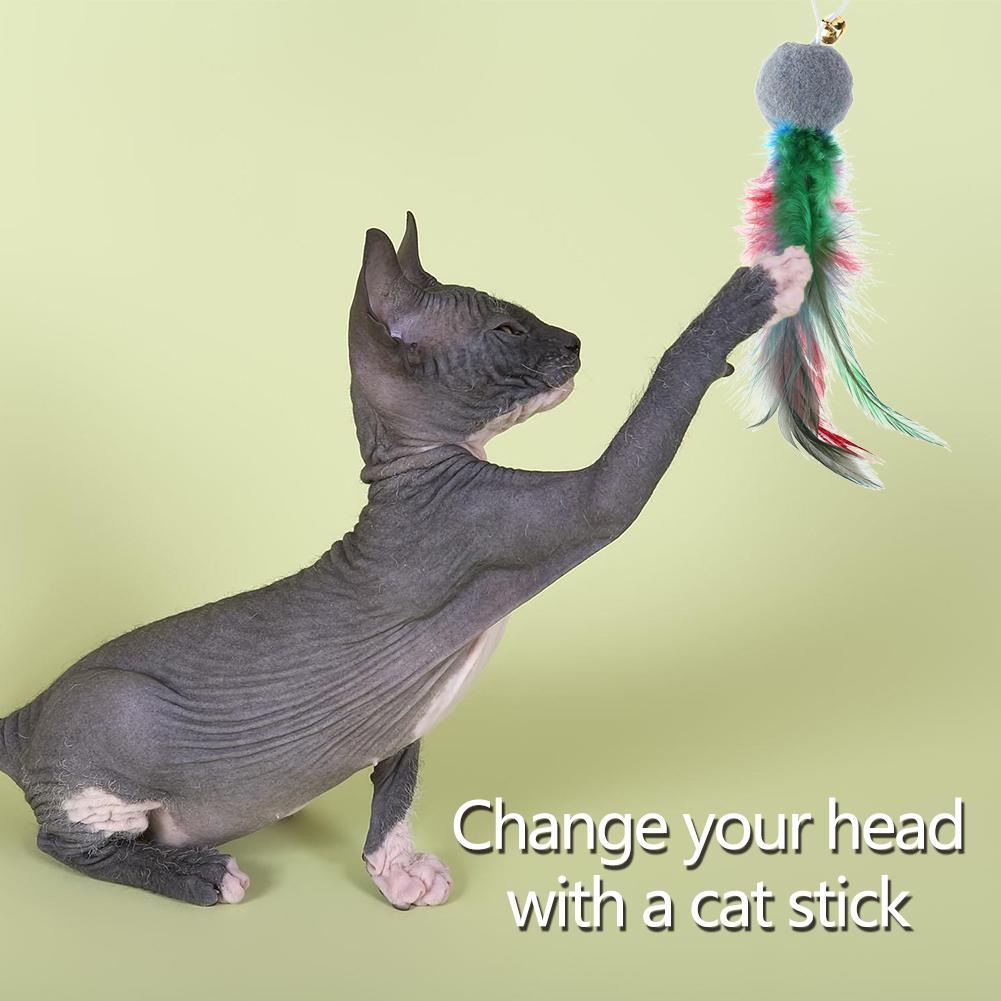 10Pcs Replacement Cat Feather Toys with Bell Cat Teaser Toy Feather Replacement Head for Indoor Cats Kitten Exercise China Mainland