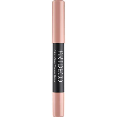 Concealer All-in-One 5 Sahara Rose, 3g