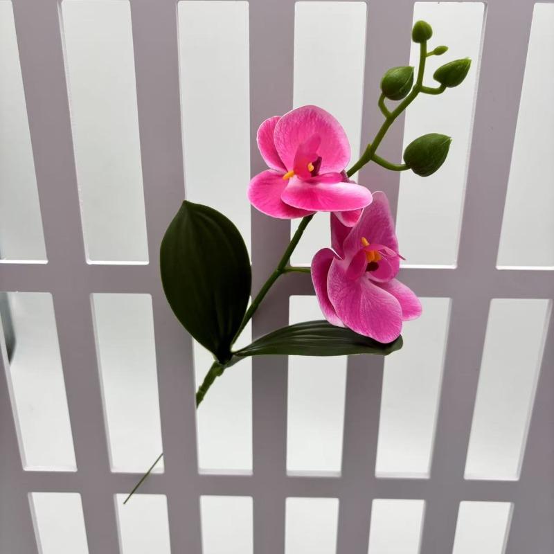 

Phalaenopsis Is Used To Decorate The Bedroom of A Homestay with Artificial Flowers and Green Plants with Leaves purple