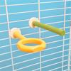 Bird Perch Nature Molar Stand for Parrots Conure Supplies Budgies Grinding Scratchers for Small Medium Parrots Toy