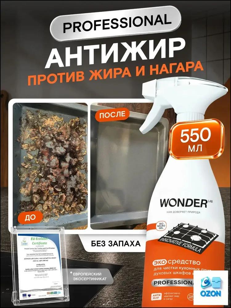 Spray foam antifat, cleaning agent for cookers, ovens, pans and grills, spray from fat, soot and soot, eco fat remover for kitchen, 550 ml Profession