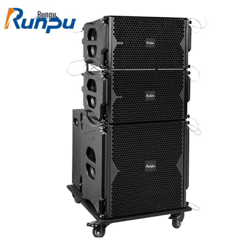 Runpu Professional Conference Line Array Speaker System