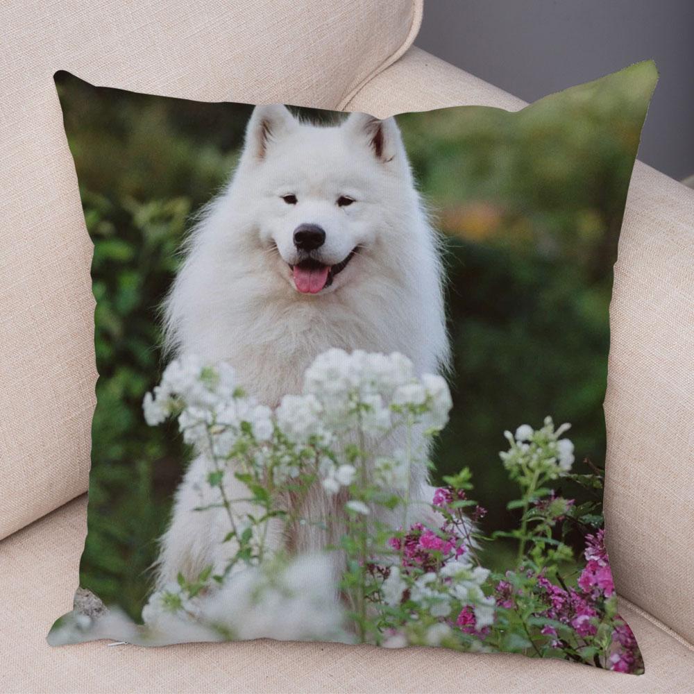 50 Stil Husă de Pernă Câine Alb Drăguț Samoyed Decor Husă de Pernă Animal de Companie Iubitor Husă de Pernă Moale de Pluș pentru Canapé Cameră Copii