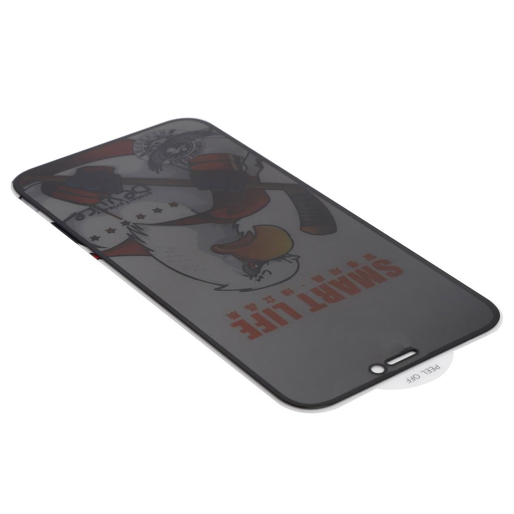 Tempered Glass Anti Peep Screen Protector Mobile Phone Screen Film for IPhone 12 Mini