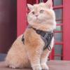 Adjustable Cat Harness and Leash Sets Vest Style Reflective Mesh Pet Harnesses Kawaii Breathable Dogs Accessories Walking