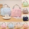 Durable Insulated Cooler Lunch Bags For School And Picnic With Stylish Design