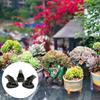 3Pcs Frog Resin Pot Decorative Feet, Plant Pot Support Feet for Outdoor, Animals Statue Pot Base Planter Risers, Flower Pot Plant Stand (Frog)