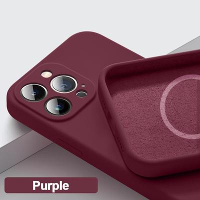 Modische magnetische Flüssigsilikonhülle für Magsafe-Hüllen für iPhone 15 14 11 12 13 Pro Max Mini Plus XR XS Wireless Charge-Telefonabdeckung