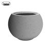 Spherical Cement Flower Pot for Ficus, Orchids, and Green Plants - Ideal for Home, Living Room, Balcony, or Outdoor Use.