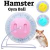 Transparent Plastic Hamster Mouse Rodent Gym Ball Run Fitness Exercise Toy Pet