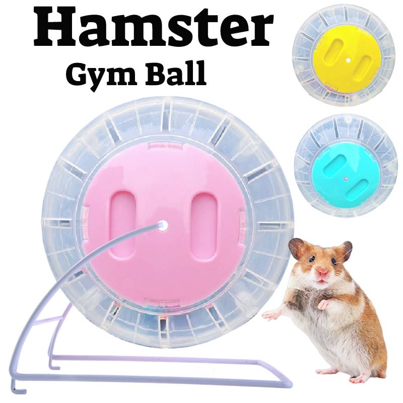 Transparent Plastic Hamster Mouse Rodent Gym Ball Run Fitness Exercise Toy Pet