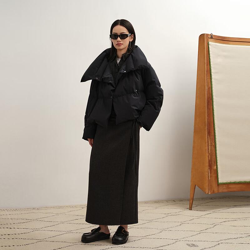 Less 2025 Winter Loose Fit Stand Collar Short Goose Down Jacket