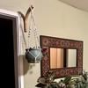 2PCS Wall Mounted Wooden Plant Hanger Sturdy Farmhouse Style Wall Hanging Hook Handmade Multipurpose Bird Feeder Hook