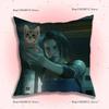 Game R-Resident Evils Characters Pillow Case Anti-dustmite Pillowcase Invisible zipper silky short plush Sofa cushion cover