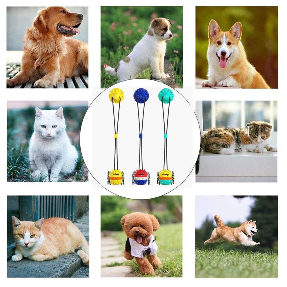 indestructible dog pull toys