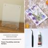 Nordic Simple Acrylic Photo Frame - 6-7 Inch DIY Dried Flower Pressed Specimen