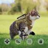 Cães – Colares e correias para cães