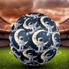 Futebol – Bolas de futebol