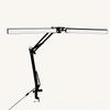 Oeny Dual-Head Clip-On Desk Lamp