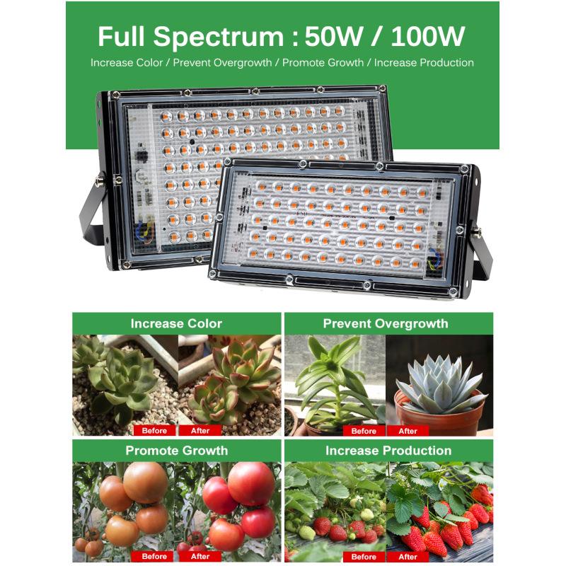 Grow light Full spectrum plant grow light Plant fill light