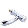 TLXT Wall-Mounted Single Cold Basin Faucet