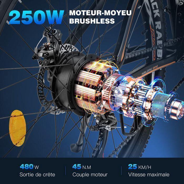 FAFREES Hailong One - 26" Electric Bike - 250W Motor 36V13Ah Battery - Shimano 21 Speeds - Range 100km, Black