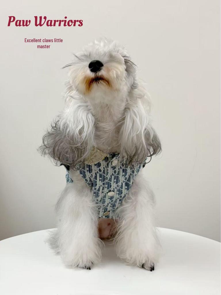 Trendy Denim Patchwork Vest for Small Dogs & Cats - Sleeveless Pet Apparel for Puppies, Teddy, Bichon, Corgi