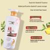 Shilang Ginger Anti-Dandruff Repair Shampoo