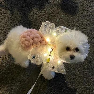 Halloween Leuchtende Hunde Flügel Schmetterling Süßes Haustier Rücken Dekoration für Kleine Mittlere Haustierbedarf Verkleiden Welpen Flügel Pomeranian