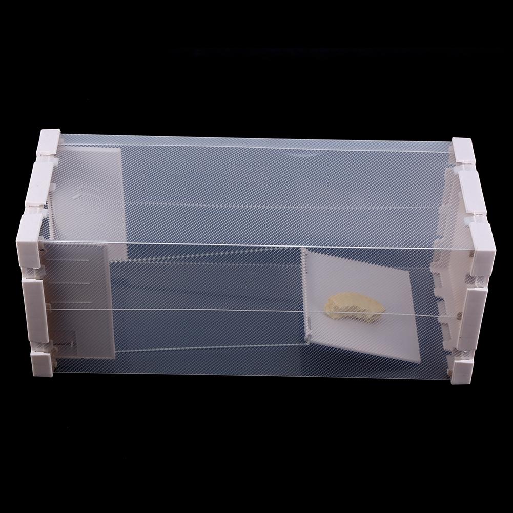 Humane Rat Trap Cage Live Animal Pest Rodent Mice Mouse Control Bait Catch