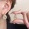 Double-Sided Rhinestone Zirconia Water Drop Earrings: Light Luxury Niche High-End Fashion Jewelry for Women