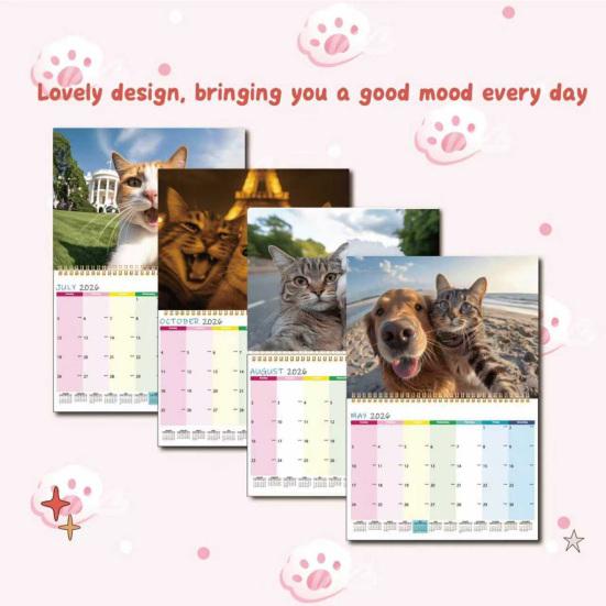 2026 Wandkalender Lustige Katzen Wandhängekalender Jan.2026 - Dez.2026 12-Monats-Planer für Zuhause und Büro