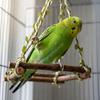 Parrot Wooden Swing, Peony Budgie Climbing And Sharpening Toy, -bitewood Rattan Hanging Ring Interactive Play.