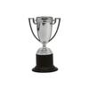 Multi Style Plastic Trophy Small Size Plastic Material Award Trophies Pentagram Star Trophy Model Mini Trophy Sporting Events