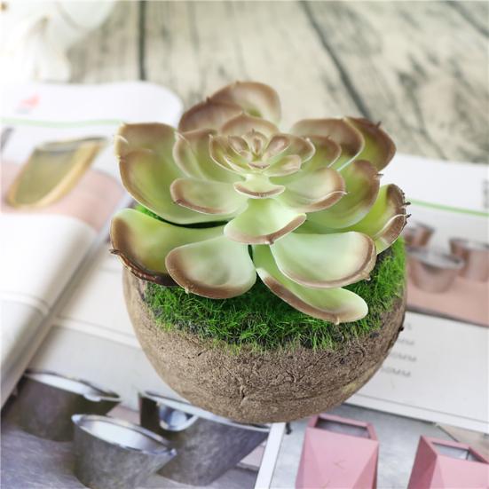Pianta Grassa Finta Con Vaso - Cactus Artificiale In Ceramica Per Decorazione Casa E Ufficio, Altezza 12 Cm
