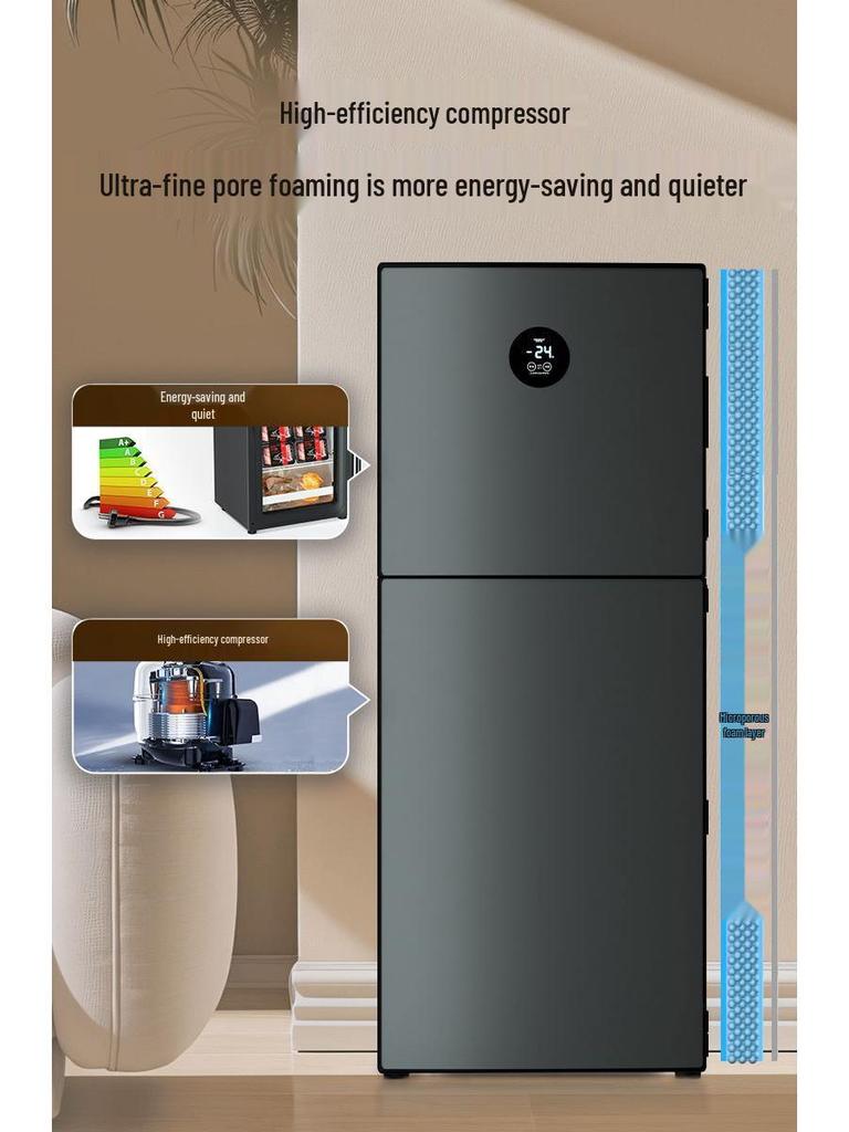 Dongzhi Compact Energy-Saving Two-Compartment Mini Fridge for Dorms & Rentals