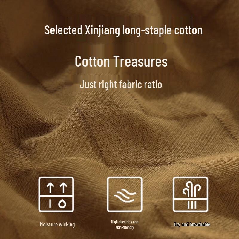 Men's Modal Cotton Antibacterial Boxer Briefs